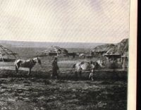 Лот: 19490707. Фото: 5. Фототипия Село Протасово , Лукояновского...