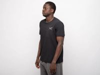 Лот: 24974000. Фото: 2. Футболка Arcteryx. Мужская одежда