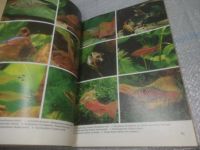 Лот: 25768523. Фото: 7. озю,вбр (00-46) Aquarienpraxis...