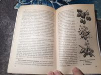 Лот: 21772585. Фото: 4. Михайлов Кролики декоративные... Красноярск