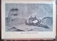 Лот: 24894569. Фото: 14. Рассказы о великих и грозных явлениях...