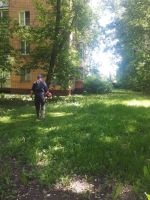 Лот: 19167614. Фото: 5. Покос, прокос: (газонов, участков...