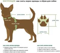 Лот: 25722373. Фото: 4. Обувь для собак "ForMyDogs". Красноярск