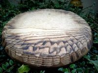 Лот: 13384916. Фото: 2. Этно-тарелка из Мирового дерева... Посуда, кухонная утварь