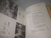 Лот: 25317501. Фото: 5. oz/вбЮ(4092347)Полянский И. И...