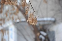 Лот: 12958717. Фото: 5. Nikon D700
