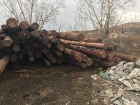 Лот: 10602959. Фото: 2. Опоры, столбы под лэп лиственница... Строительные материалы