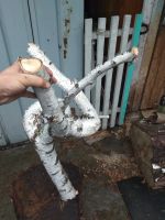 Лот: 22835993. Фото: 7. Коряга березовая