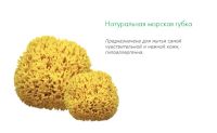 Лот: 10750084. Фото: 2. Натуральная морская губка 7 морей... Хозтовары