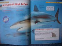 Лот: 17000576. Фото: 3. "Акулы". Детская энциклопедия... Литература, книги