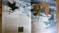 Лот: 10145052. Фото: 3. Тайны живой природы. Дикие кошки. Литература, книги