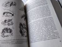 Лот: 17777392. Фото: 12. ок (01..01) Баленко Сергей Учебник...