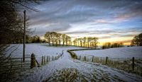 Лот: 8632593. Фото: 5. Canon 1Ds mark III (профессиональная...