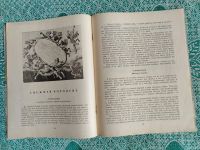 Лот: 25383499. Фото: 5. Книжка детская тонкая Андерсен...