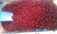 Лот: 4653381. Фото: 2. Ягода брусника северная оптом... Продукты