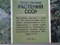 Лот: 5297410. Фото: 6. Лекарственные растения СССР: Культивируемые...