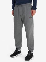 Лот: 25714018. Фото: 2. Брюки мужские The North Face Simple... Спортивная одежда