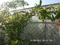 Лот: 5508841. Фото: 4. дачка в солонцах. Подходит под... Красноярск