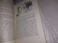 Лот: 13340720. Фото: 7. Тимофеев Н. С., Ханина А. Н...