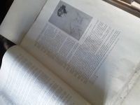 Лот: 21277184. Фото: 2. Четыре академических рисунка. Живопись, скульптура, фото