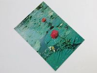 Лот: 23296568. Фото: 2. Приморье. Лотос цветет. Открытка... Открытки, билеты и др.