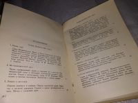 Лот: 13314302. Фото: 6. Исаак Шнейдерман. Мария Гавриловна...