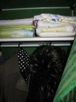 Лот: 2212785. Фото: 2. Продам тканевый шкаф для одежды... Хранение вещей