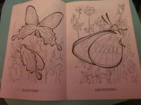 Лот: 3963785. Фото: 2. Книжка-раскраска "Бабочки-красавицы... Творчество