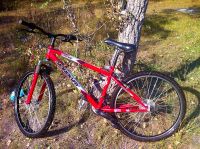 Лот: 6083005. Фото: 2. Велосипед nordway. Велоспорт