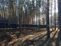Лот: 7569038. Фото: 3. Участок в соснах, Овинный. Недвижимость