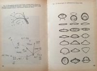 Лот: 25040872. Фото: 5. Книга - Шульман Сол "Инопланетяне...
