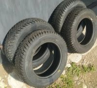 Лот: 21253702. Фото: 4. Резина КАМА АЛГА 175/65 R14 Зимняя... Красноярск