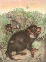 Лот: 15418513. Фото: 20. Константиновский Майлен - КОАПП...