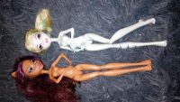 Лот: 10830811. Фото: 2. Monster high Монстер хай Френки... Игрушки