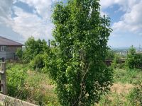 Лот: 25527094. Фото: 15. 2-комн. дом , посёлок городского...