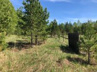 Лот: 17185148. Фото: 2. Земельный участок. Продажа