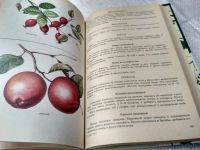 Лот: 5297538. Фото: 10. Плоды и ягоды на вашем столе...