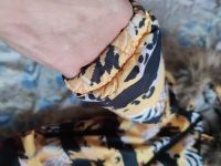Лот: 17385824. Фото: 3. Комбинезон детской батик. Дети растут