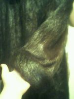 Лот: 9726830. Фото: 4. Шуба. Красноярск