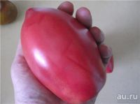 Лот: 9401539. Фото: 7. Взрослая Качественная Рассада...