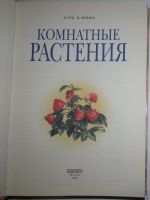 Лот: 17879315. Фото: 2. Комнатные растения. Чуб В.В... Искусство, культура