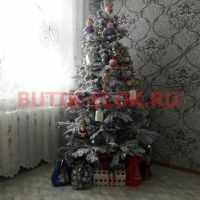 Лот: 4780401. Фото: 5. Ель зеленая комбинированная с...