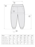 Лот: 20411283. Фото: 4. Спортивные брюки штаны трикотажные. Красноярск