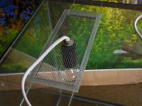 Лот: 5330191. Фото: 5. Террариум 50л со светом