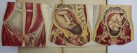 Лот: 20589389. Фото: 8. В двух переплётах.*Народная энциклопедия...