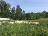 Лот: 16139309. Фото: 5. Земельный участок 13 соток Таскино