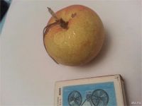 Лот: 8753701. Фото: 4. Ёлочные игрушки СССР . Яблоко... Красноярск