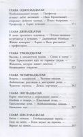 Лот: 16739943. Фото: 4. Ян Ларри "Необыкновенные приключения... Красноярск