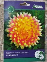 Лот: 25256540. Фото: 3. Георгин клубни сортовые. Для дачи, дома, огорода, бани, парка