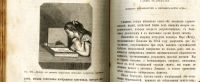 Лот: 19935752. Фото: 18. Тисандье Г. Научные развлечения...